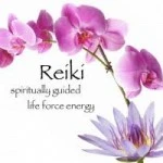 reiki life force