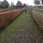 The pathway to Dunino Sacred Well