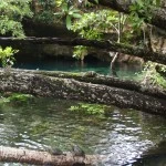 Grand Cenote, Tulum