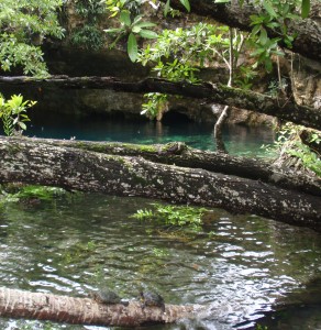 Grand Cenote, Tulum