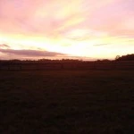 Sunset - Woodhenge
