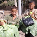 Youngsters with local produce. Now that's a cabbage.
