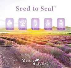 Seed to Seal