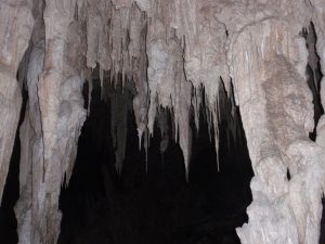 Stalactite, Mammoth Cave, Western Australia